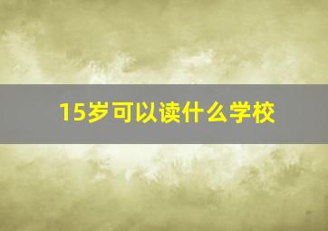 15岁可以读什么学校