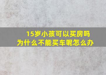 15岁小孩可以买房吗为什么不能买车呢怎么办