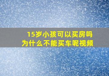 15岁小孩可以买房吗为什么不能买车呢视频