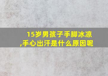 15岁男孩子手脚冰凉,手心出汗是什么原因呢