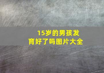 15岁的男孩发育好了吗图片大全