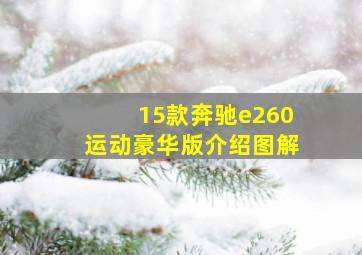 15款奔驰e260运动豪华版介绍图解