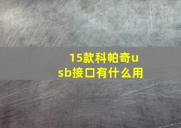 15款科帕奇usb接口有什么用