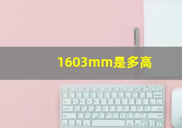 1603mm是多高