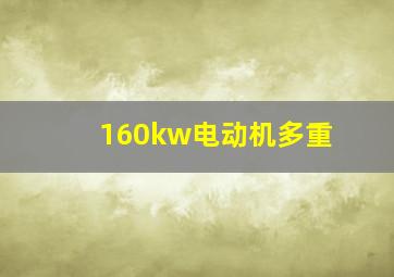 160kw电动机多重