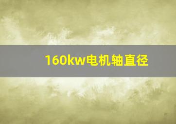 160kw电机轴直径