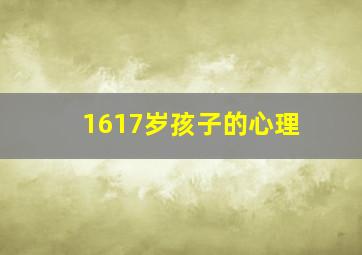 1617岁孩子的心理