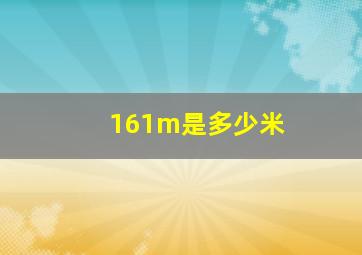 161m是多少米