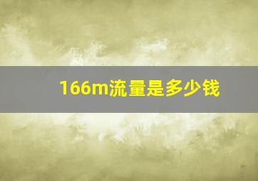 166m流量是多少钱