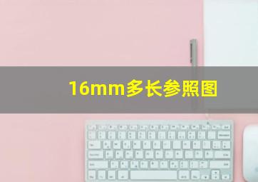 16mm多长参照图