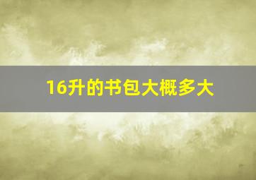 16升的书包大概多大