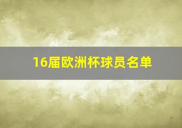 16届欧洲杯球员名单