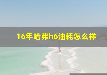 16年哈弗h6油耗怎么样