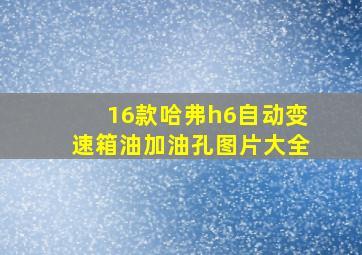 16款哈弗h6自动变速箱油加油孔图片大全