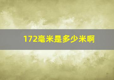 172毫米是多少米啊