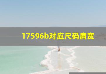 17596b对应尺码肩宽