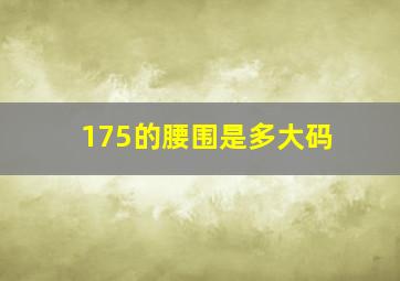 175的腰围是多大码