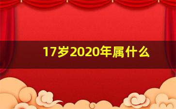 17岁2020年属什么