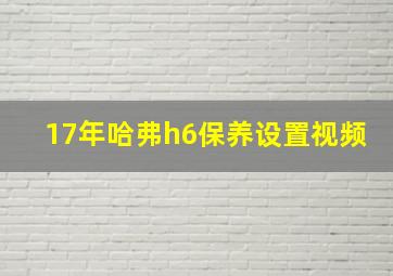 17年哈弗h6保养设置视频