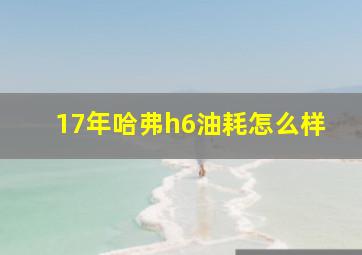 17年哈弗h6油耗怎么样