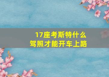 17座考斯特什么驾照才能开车上路