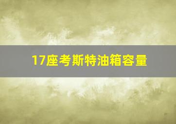 17座考斯特油箱容量