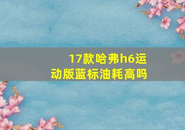 17款哈弗h6运动版蓝标油耗高吗