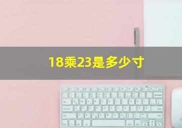 18乘23是多少寸