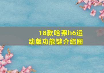 18款哈弗h6运动版功能键介绍图