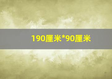 190厘米*90厘米