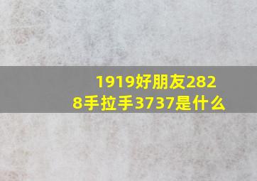 1919好朋友2828手拉手3737是什么