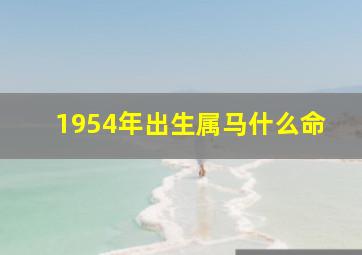 1954年出生属马什么命