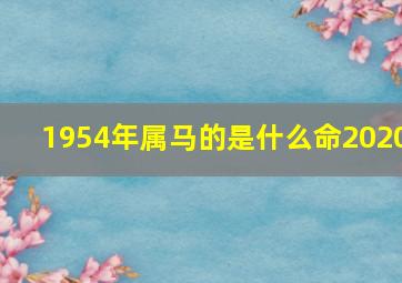 1954年属马的是什么命2020