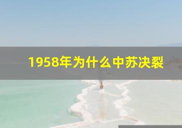 1958年为什么中苏决裂