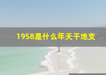 1958是什么年天干地支