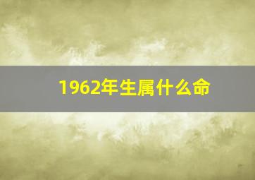 1962年生属什么命