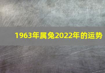 1963年属兔2022年的运势