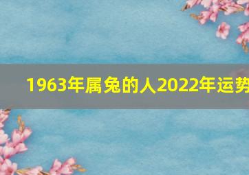 1963年属兔的人2022年运势