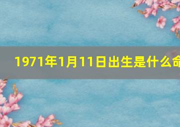 1971年1月11日出生是什么命