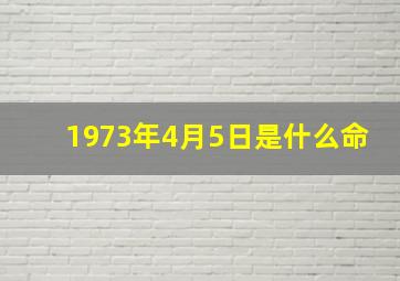 1973年4月5日是什么命