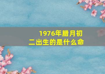 1976年腊月初二出生的是什么命