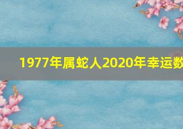 1977年属蛇人2020年幸运数