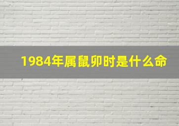 1984年属鼠卯时是什么命