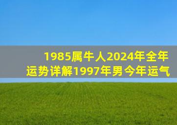 1985属牛人2024年全年运势详解1997年男今年运气