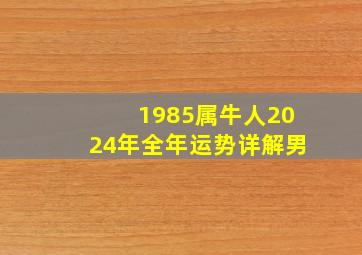 1985属牛人2024年全年运势详解男