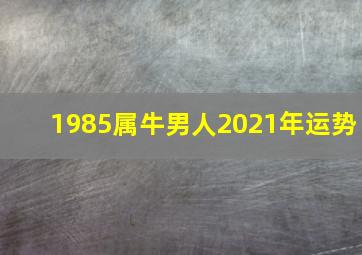 1985属牛男人2021年运势