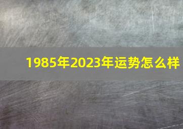 1985年2023年运势怎么样