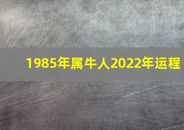 1985年属牛人2022年运程