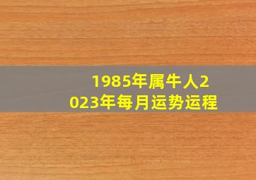 1985年属牛人2023年每月运势运程