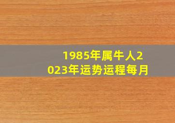 1985年属牛人2023年运势运程每月